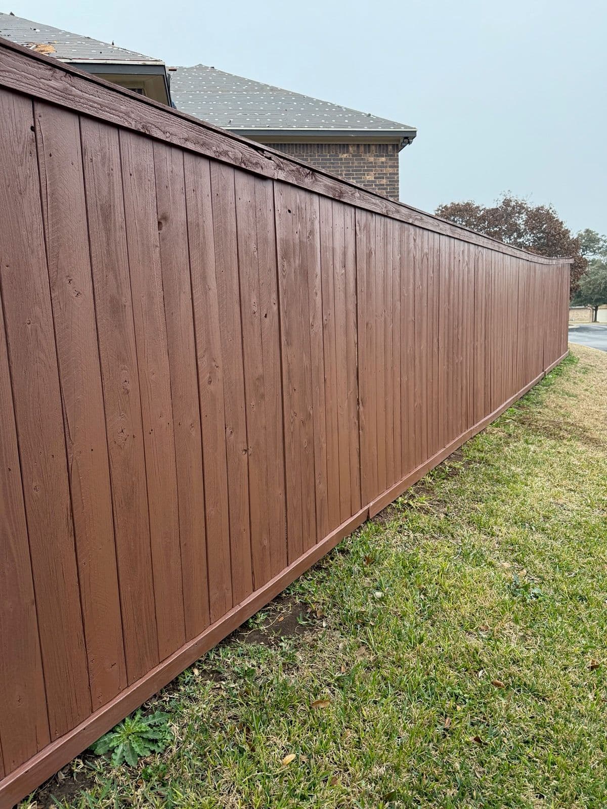 Revitalizing Fences for a Vibrant Home